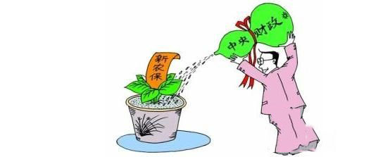 新農(nóng)保怎么繳費(fèi)? 第1張 新農(nóng)保怎么繳費(fèi)? 第1張