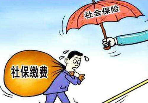 個人交社保怎么交？ 第1張